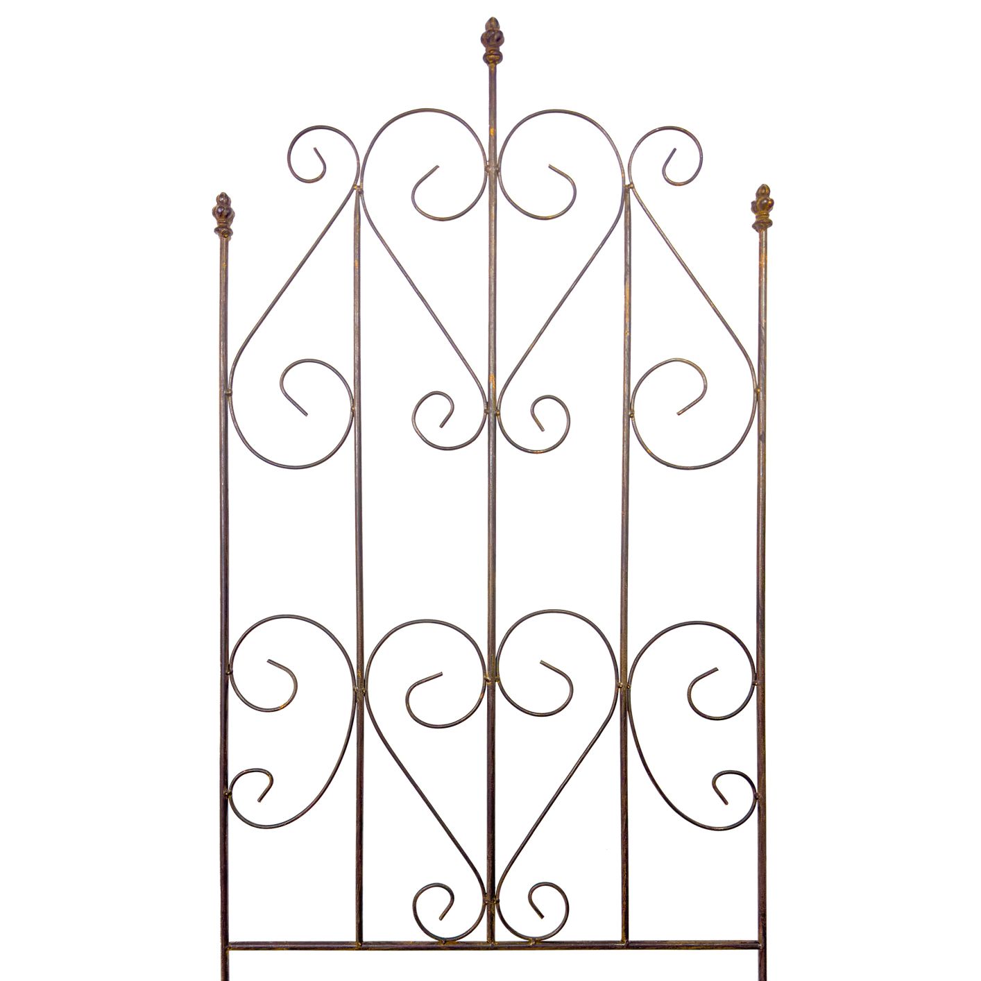 Rankgitter, 51x2xH105cm