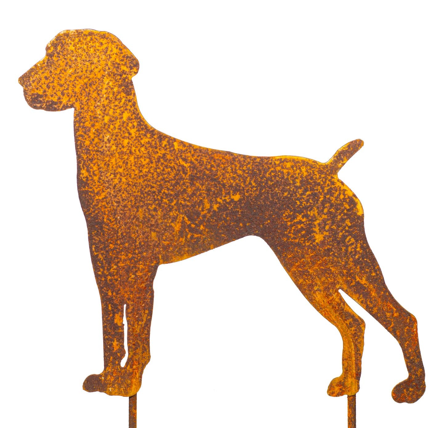 Hund Gartenstecker Metall in Rostoptik