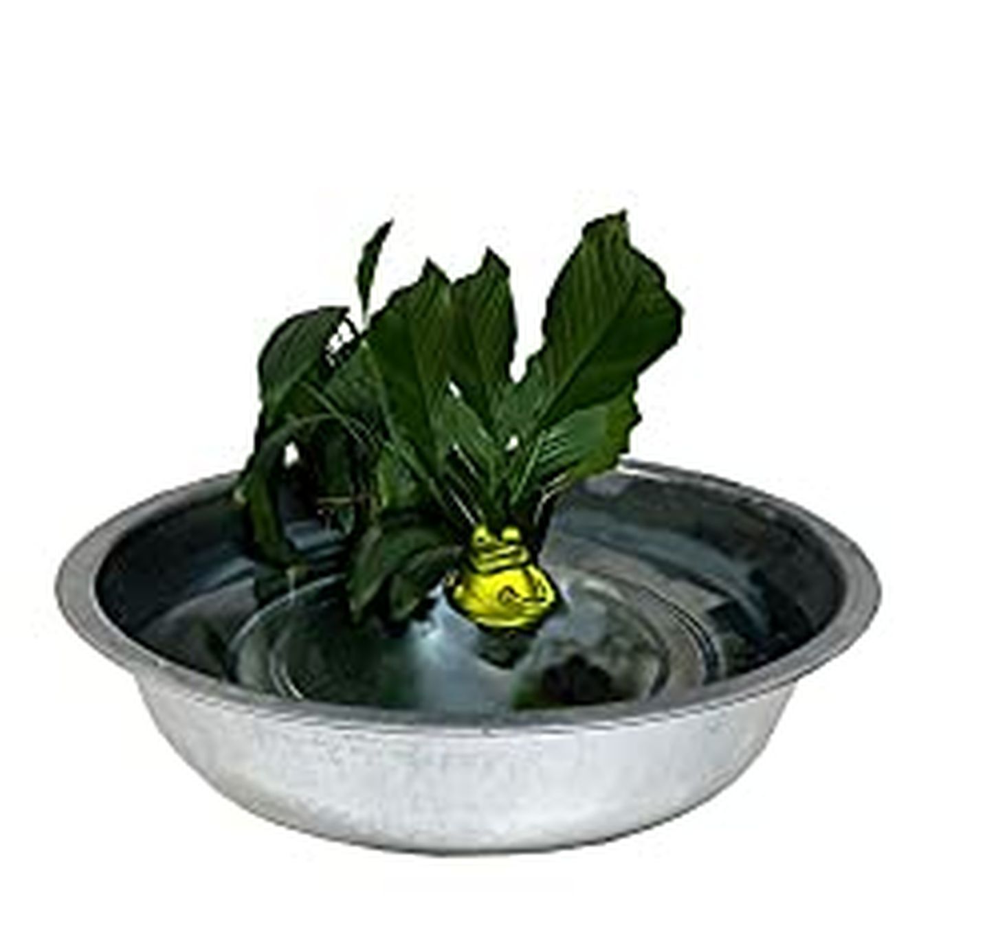 Blümelhuber schwimmende Frösche als Teichdekoration (1er Frosch mit Wanne)