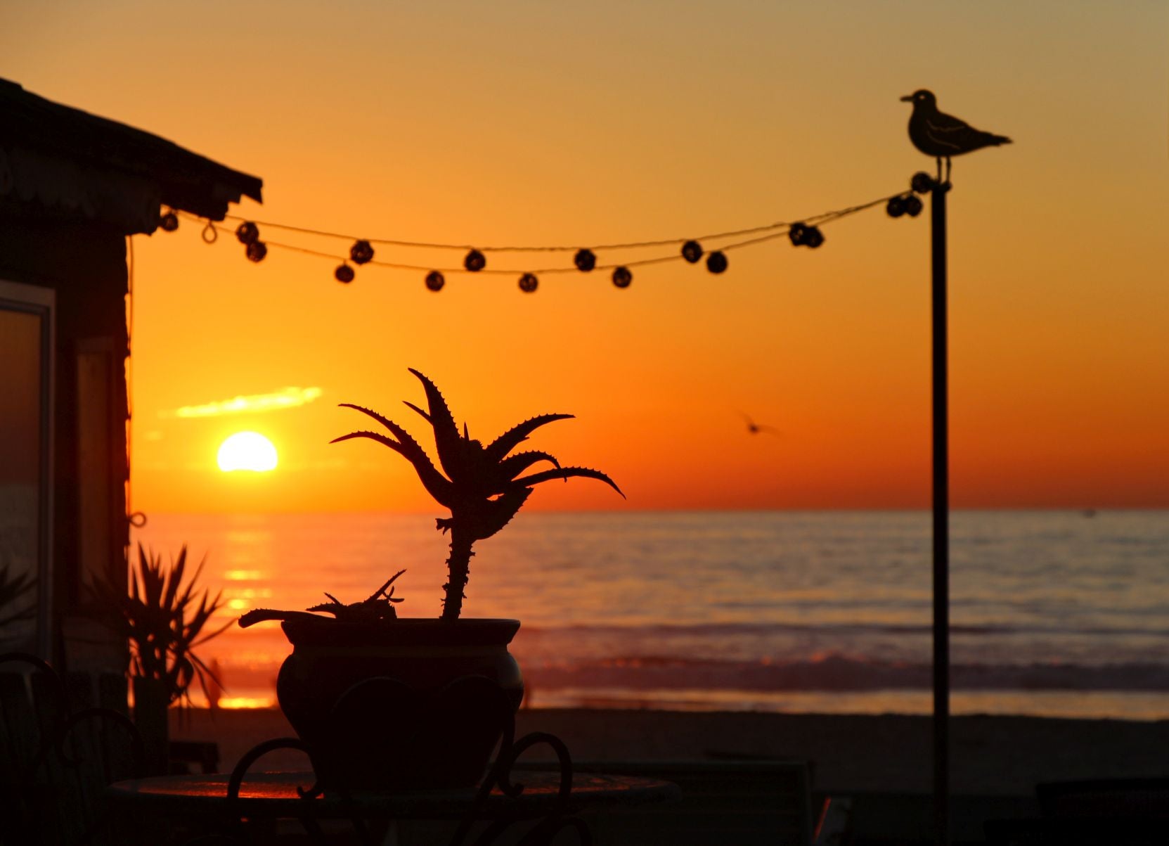 Blümelhuber Rost Deko Möwe - Gartendeko Figuren