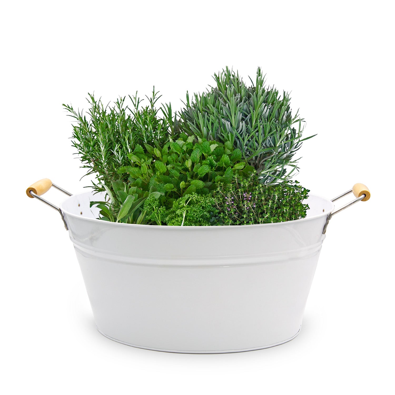 Verzinkte Wanne Schale zum Bepflanzen Garten Deko Draußen Miniteich Balkon Deko