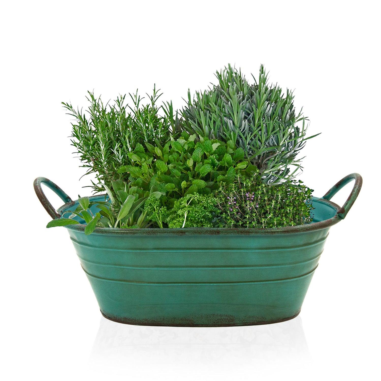 Verzinkte Wanne, Schale zum Bepflanzen