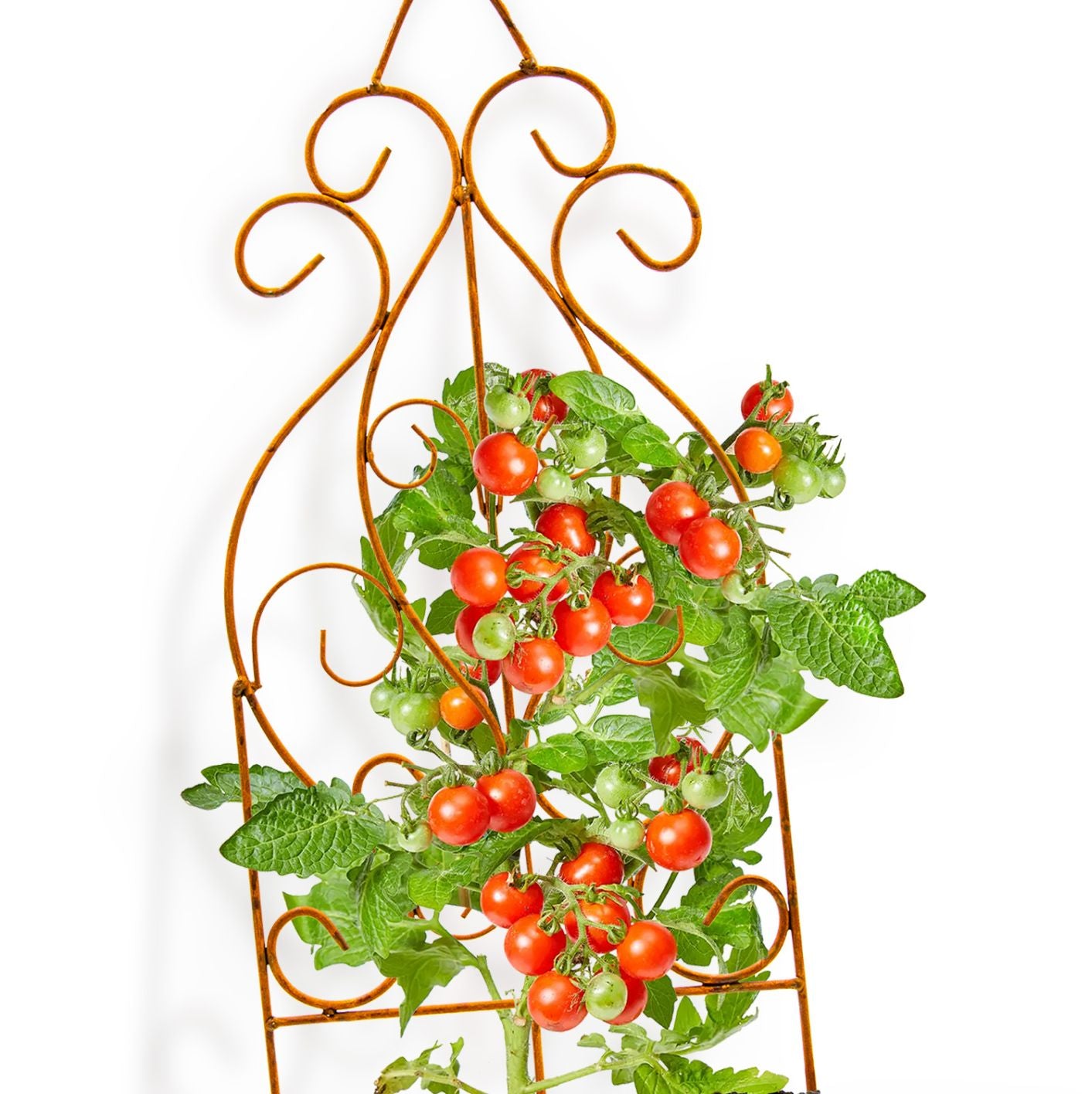 Rankgitter Metall Deko Balkon und Garten Deko Balkon Sichtschutz Garten Vintage