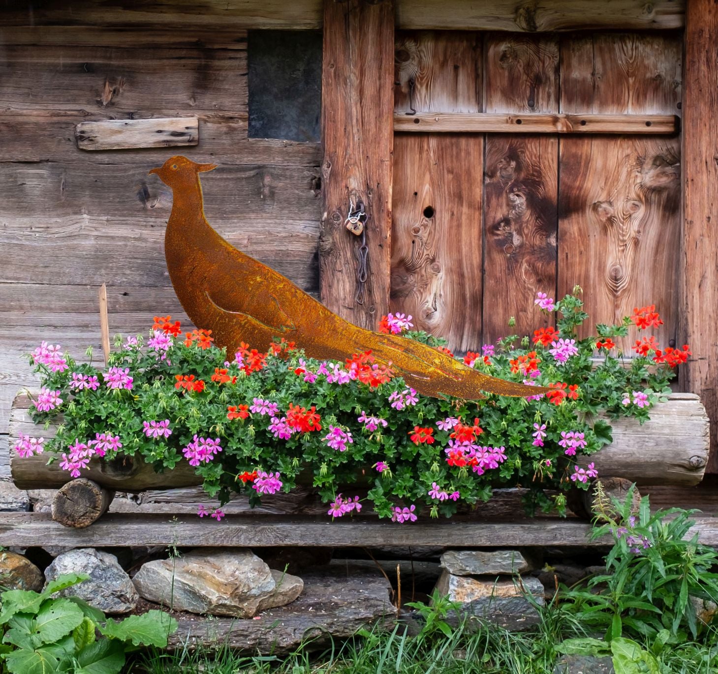 Edelrost Gartendeko Fasan