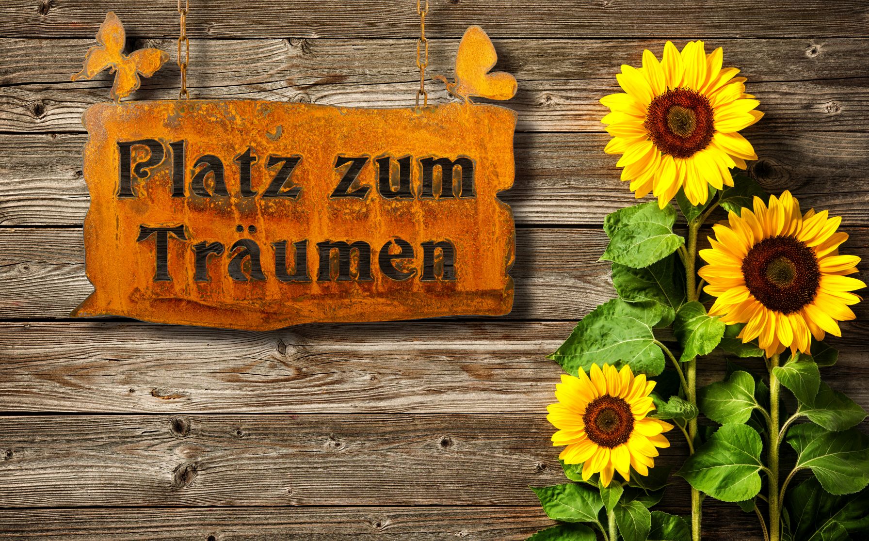 Edelrost Schild "Platz zum Träumen" zum Aufhängen - wetterfeste Gartendeko
